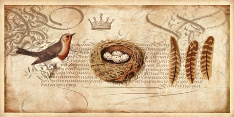 Framed Nesting II Print