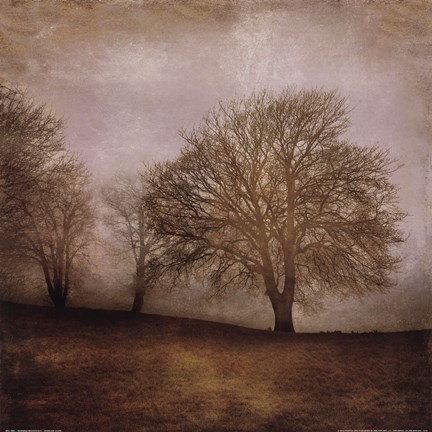 Framed Morning Meditation II Print
