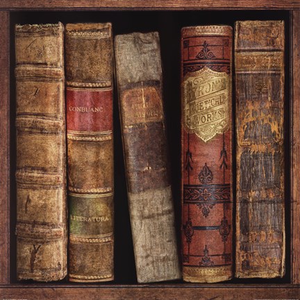 Framed In The Library I Print
