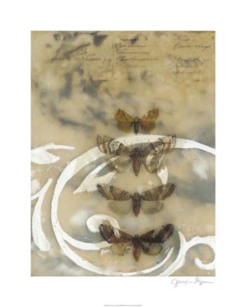 Framed Nocturnes I Print