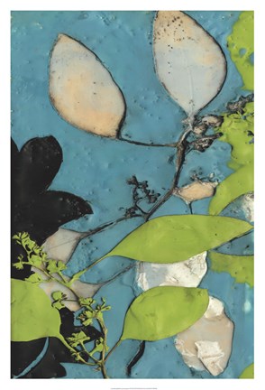 Framed Leaf Extraction I Print