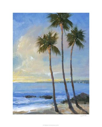 Framed Tropical Breeze II Print