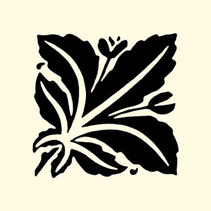 Framed B&amp;W Graphic Beauty I Print