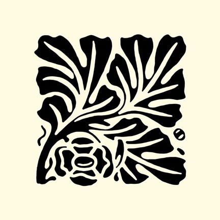 Framed B&amp;W Graphic Beauty III Print