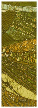 Framed Vineyard Batik II Print