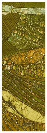 Framed Vineyard Batik II Print