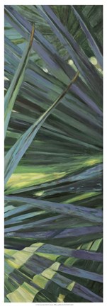 Framed Fan Palm II Print