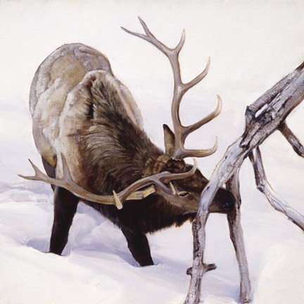 Framed Slim Pickings Print