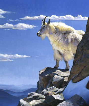 Framed Rocky Mountain High Print