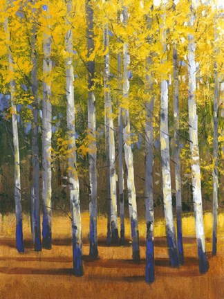 Framed Fall in Glory II Print