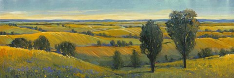 Framed Picturesque Scene II Print