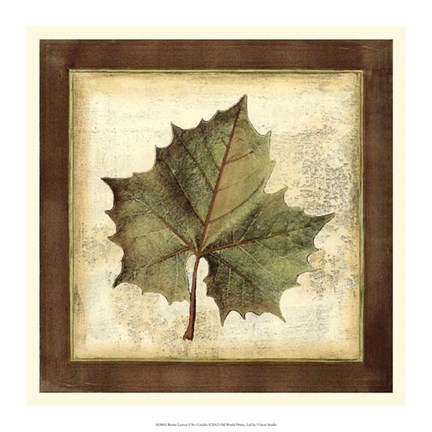 Framed Rustic Leaves I - No Crackle Print