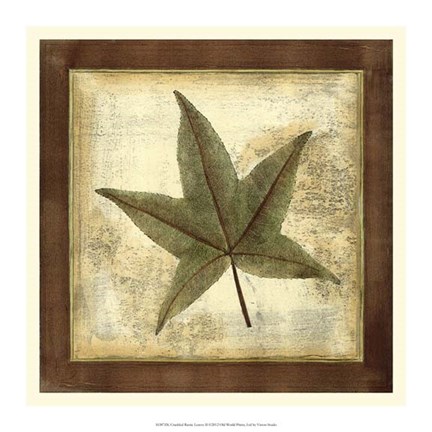 Framed Rustic Leaves II - No Crackle Print