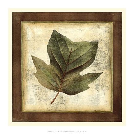 Framed Rustic Leaves III - No Crackle Print