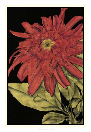 Framed Radiance II Print