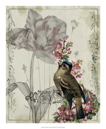 Framed Mauve Melody II Print