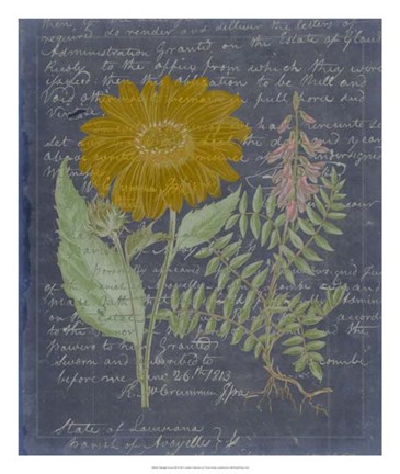 Framed Midnight Sonnet III Print