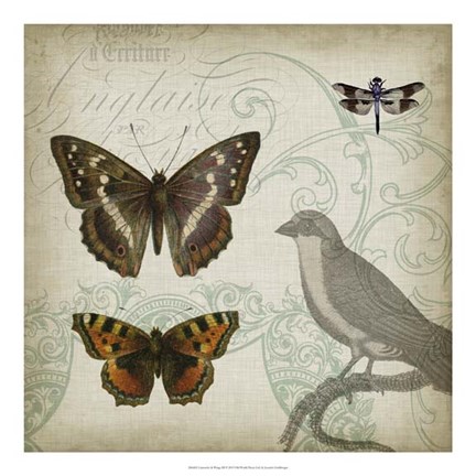 Framed Cartouche &amp; Wings III Print