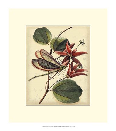 Framed Petite Dragonflies III Print