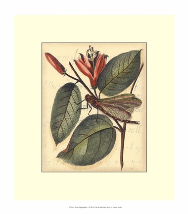 Framed Petite Dragonflies V Print