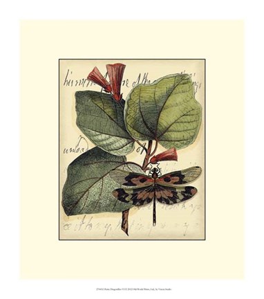 Framed Petite Dragonflies VI Print