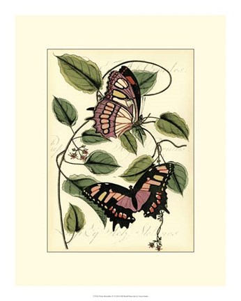 Framed Petite Butterflies IV Print