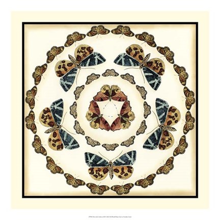 Framed Butterfly Collector III Print
