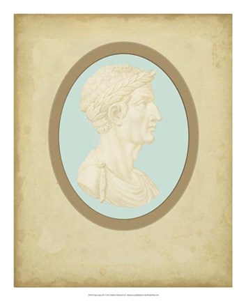 Framed Spa Cameo III Print
