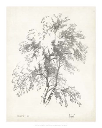 Framed Birch Tree Study Print