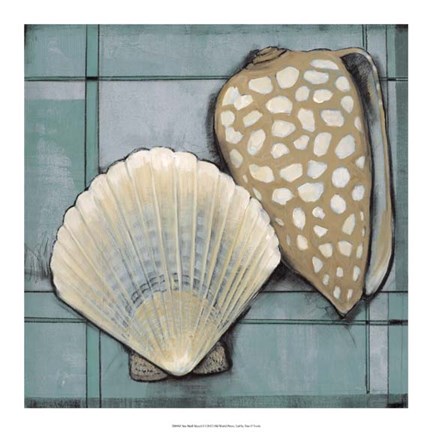 Framed Seashell Sketch I Print