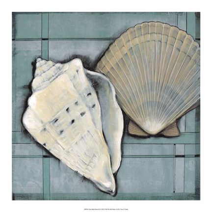 Framed Seashell Sketch II Print