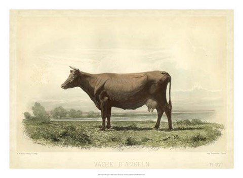 Framed Vache D&#39;Angeln Print