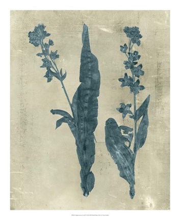 Framed Impressions in Teal Print