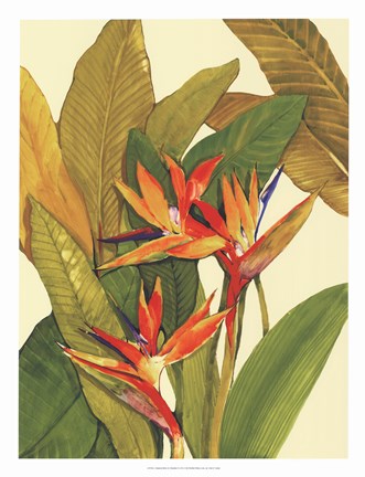 Framed Tropical Bird of Paradise Print