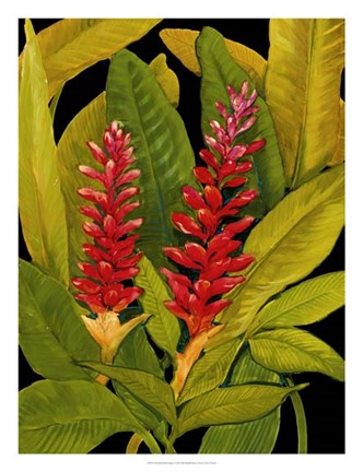 Framed Dramatic Red Ginger Print