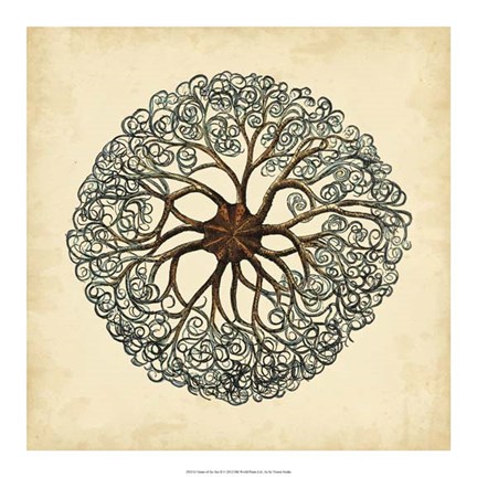 Framed Gems of the Sea II Print