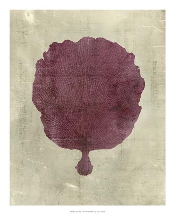 Framed Coral in Plum Print