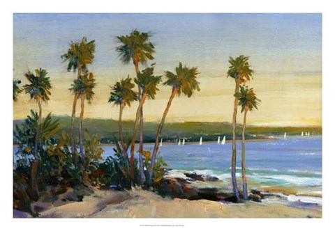 Framed Distant Shore II Print