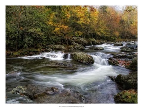 Framed Autumn Dream Print
