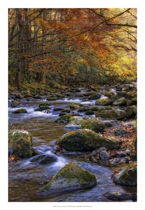 Framed Autumn on Little River Print