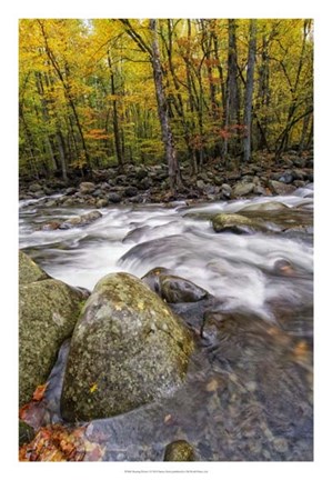 Framed Roaring Waters I Print