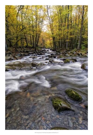 Framed Roaring Waters II Print