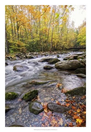 Framed Roaring Waters III Print