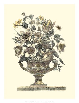 Framed Flowers in an Urn I (Sepia) Print