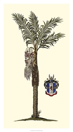 Framed Elongated Exotic Palm I Print