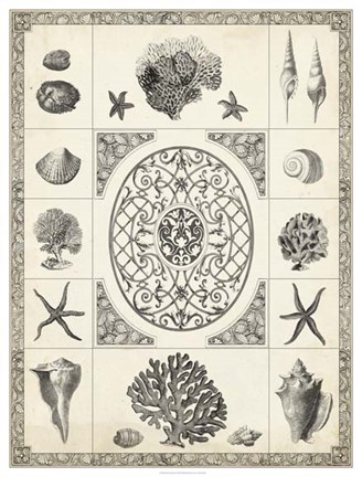 Framed Nature&#39;s Memento II Print