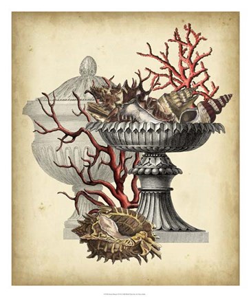 Framed Ocean's Bounty I Print