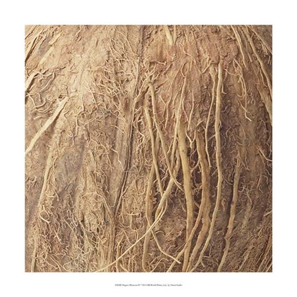 Framed Organic Elements IV Print