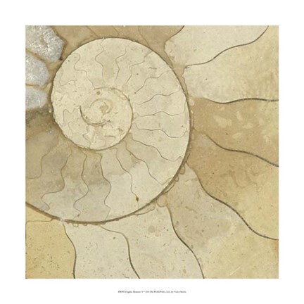 Framed Organic Elements V Print