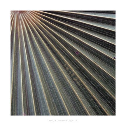 Framed Organic Elements VI Print